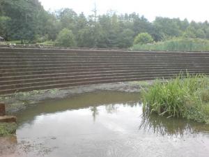 Trentham Weir, Stoke-on-Trent